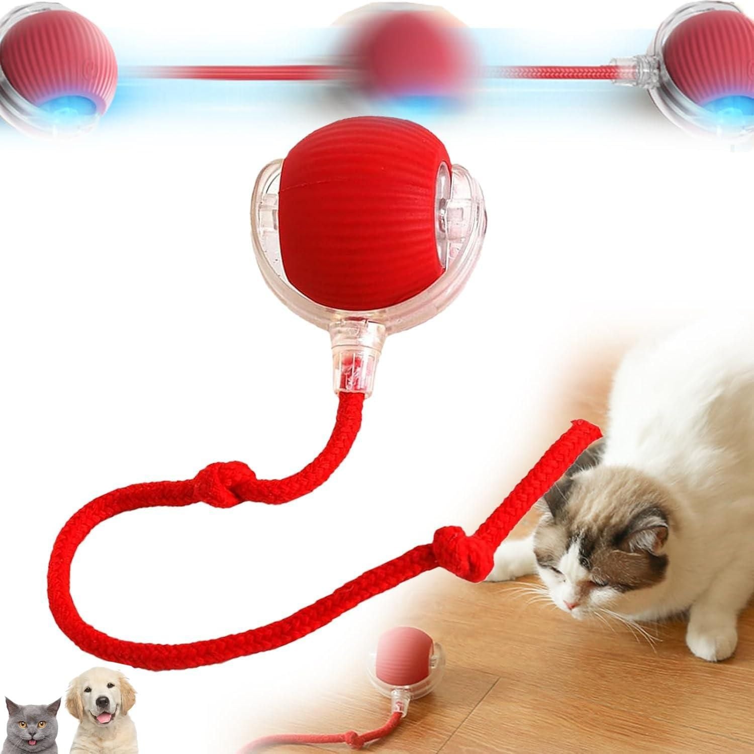 Viral Rolling Ball,Interactive Cat Ball Toy